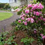 Springfield TAS Northern Rivers Accommodation
