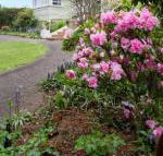 Anabels of Scottsdale - Northern Rivers Accommodation