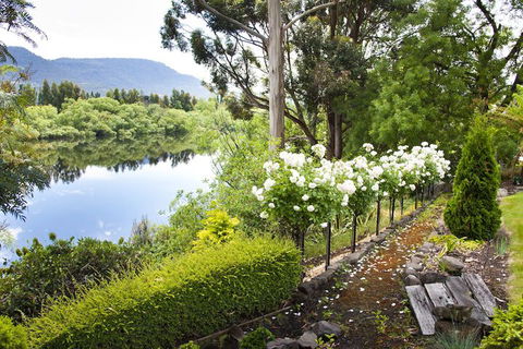 The Shingles Riverside Cottages - Northern Rivers Accommodation 4