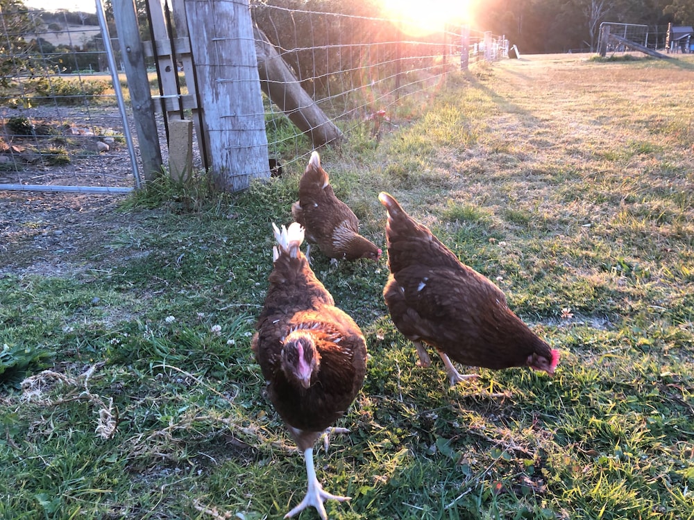 Moruya NSW Northern Rivers Accommodation