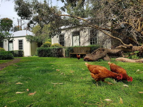 Clonmara Country House & Cottages - Northern Rivers Accommodation 1