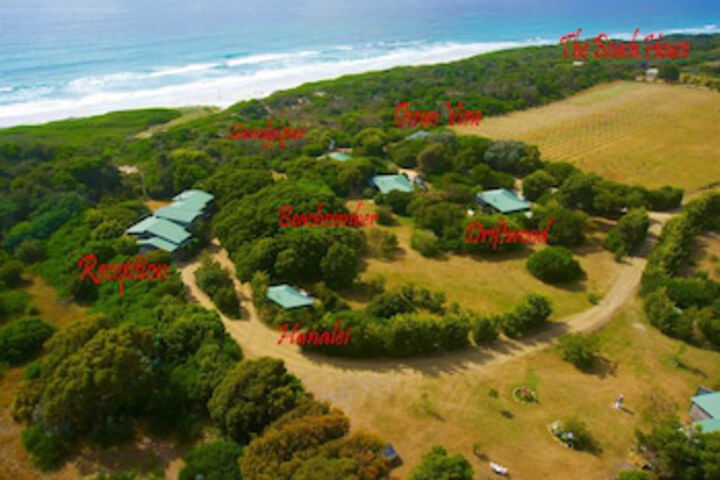 Douglas River TAS Northern Rivers Accommodation