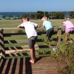 Beachend Bicheno - Northern Rivers Accommodation 0