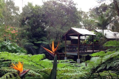 The Oasis At One Mile Beach - Northern Rivers Accommodation 2