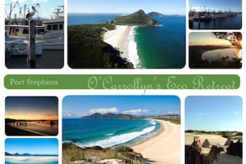 The Oasis At One Mile Beach - Northern Rivers Accommodation 5