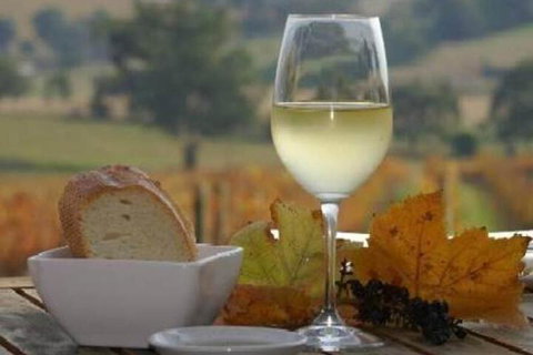 Outlook Hill Pavilion Suites & Spa Cottages - Northern Rivers Accommodation 2