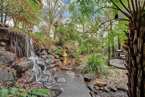 Forget Me Not Cottages - Northern Rivers Accommodation 4
