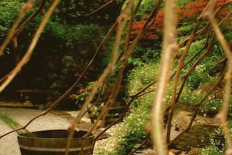 Forget Me Not Cottages - Northern Rivers Accommodation 3