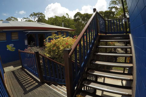 Cool Bananas Backpackers - Northern Rivers Accommodation 5