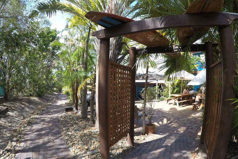 Cool Bananas Backpackers - Northern Rivers Accommodation 6