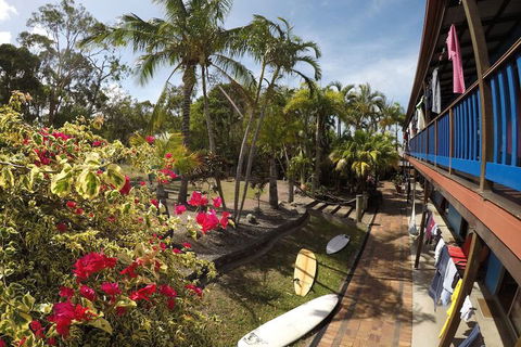 Cool Bananas Backpackers - Northern Rivers Accommodation 2