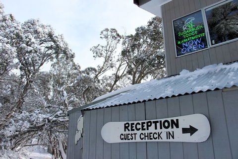 Sugarbush Lodge & Apartments - Northern Rivers Accommodation 0