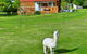 Maydena Mountain Cabins - thumb 2