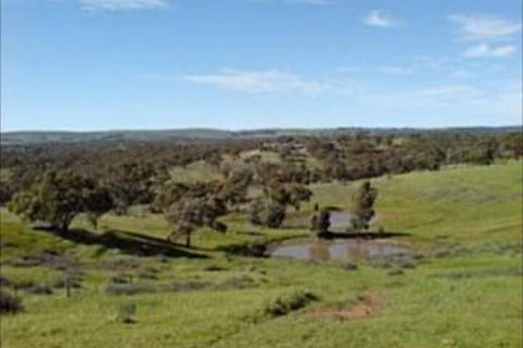 Clare View Accommodation - Northern Rivers Accommodation 6