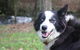 Johanna River Farm & Cottages - thumb 3