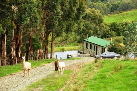 Johanna River Farm & Cottages - Northern Rivers Accommodation 5