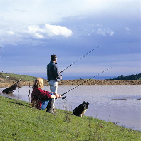 Johanna River Farm & Cottages - Northern Rivers Accommodation 1