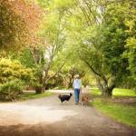 Johanna River Farm & Cottages - Northern Rivers Accommodation 0