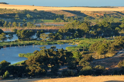 Riverview Rise Retreats - Northern Rivers Accommodation 5