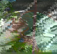 Palms at Trinity - Northern Rivers Accommodation