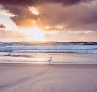 Blue Waters Motel - Northern Rivers Accommodation