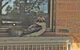 The Vineyard Motel - thumb 6