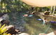 Eco Village Mission Beach - thumb 2