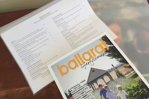Ballarat Colonial Motor Inn & Apartments - Northern Rivers Accommodation 2