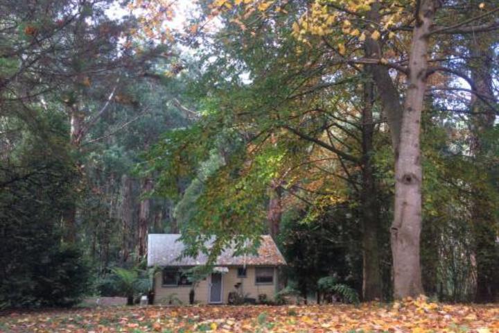 The University Of Melbourne, Parkville VIC Northern Rivers Accommodation