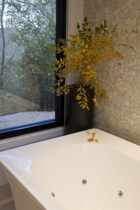 Saltus Luxury Accommodation - Northern Rivers Accommodation 6