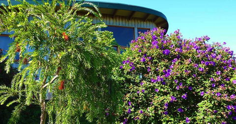 The Boomerangs - Northern Rivers Accommodation 0