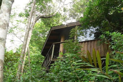 Mt Quincan Crater Retreat - Northern Rivers Accommodation 5