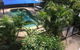 Tropical Palms - thumb 5
