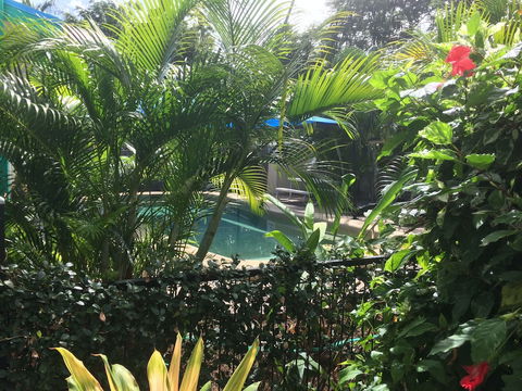 Tropical Palms - Northern Rivers Accommodation 2