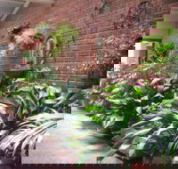 Edge of the Forest - Northern Rivers Accommodation