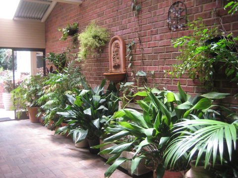 Edge Of The Forest - Northern Rivers Accommodation 0