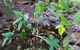 Hunchy Hideaway - thumb 1
