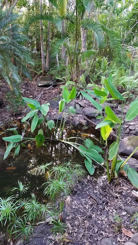 Hunchy Hideaway - Northern Rivers Accommodation 1