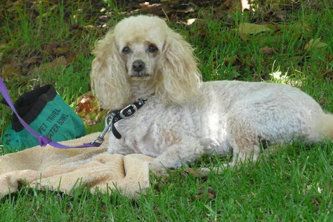 Granite Gardens Cottages & Lake Retreat - Northern Rivers Accommodation 6