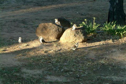 Riverview Motel Deniliquin - Northern Rivers Accommodation 2