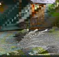 Springbrook Lyrebird Retreat - Northern Rivers Accommodation