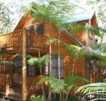 Springbrook Mountain Chalets - Northern Rivers Accommodation