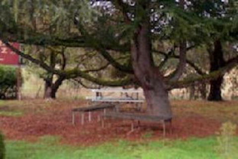 Auburn Shiraz Motel - Northern Rivers Accommodation 0