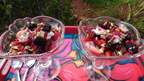 Natures Paradise - Northern Rivers Accommodation 2