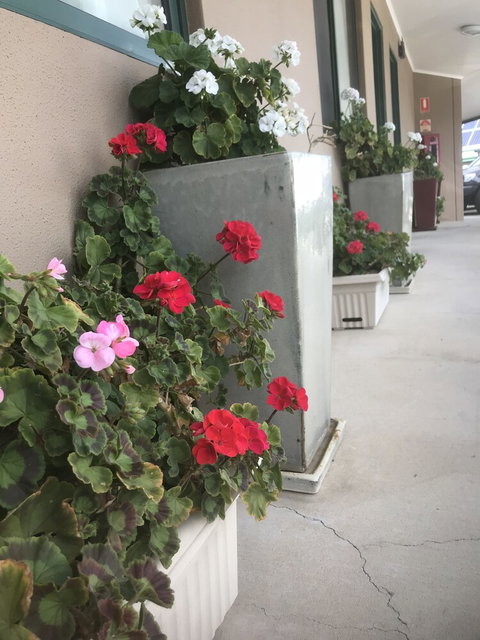 The Bakehouse Motel - Northern Rivers Accommodation 4