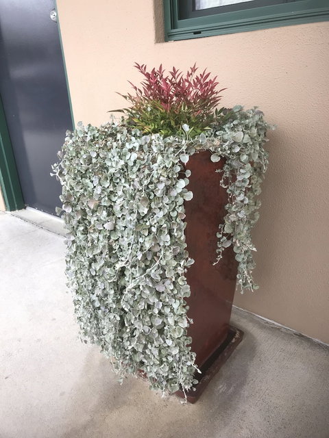 The Bakehouse Motel - Northern Rivers Accommodation 3