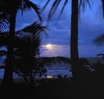 Sejala Beach Huts - Northern Rivers Accommodation