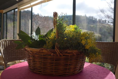 Hamlet Downs Country Accommodation - Northern Rivers Accommodation 4