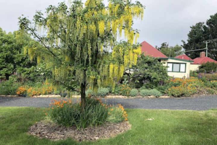 Fentonbury TAS Northern Rivers Accommodation