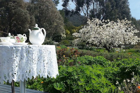 Hamlet Downs Country Accommodation - Northern Rivers Accommodation 3